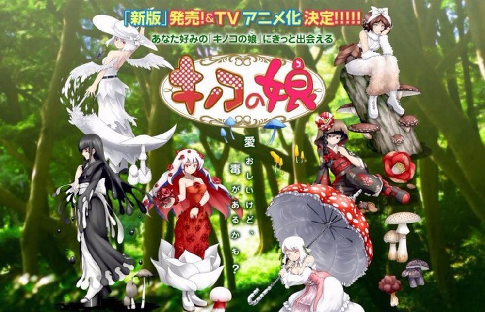 nuovo anime mushroom girl.jpg nuovo anime mushroom girl.jpg